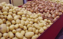 Vente de l’oignon et de la Pomme de terre: L’Etat met en place un fond d’écoulement des produits Horticoles