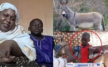 Ameth Ndiaye et son âne : 1,5 million FCFA récoltés pour le petit orphelin…