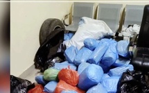 Saisie de drogues à Dakar : l’OCRTIS interpelle plusieurs individus lors d'opérations ciblées Saisie de drogues à Dakar : l’OCRTIS interpelle plusieurs individus lors d'opérations ciblées
