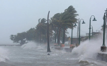 Alerte météo : vents puissants attendus sur les côtes sénégalaises dès dimanche soir