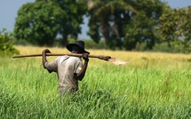 La Russie s’engage à accompagner le Sénégal dans le développement de son agriculture