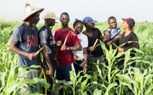 Pari Agricole : 2 500 emplois créés, des milliards injectés et la relance en marche Pari Agricole : 2 500 emplois créés, des milliards injectés et la relance en marche