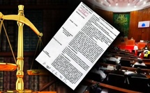 Le Conseil constitutionnel annule une disposition clé de la loi d’amnistie votée par l’Assemblée nationale