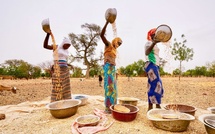 Lancement du Programme FSRP au Sénégal : 230 millions de dollars pour la résilience alimentaire
