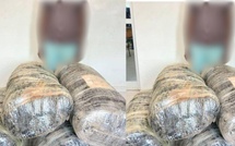 137 kg de chanvre saisis à Loul Sessène : la Gendarmerie intensifie la lutte antidrogue à Fatick