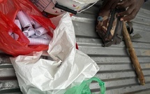 Trafic de dr*gue démantelé à Keur Mbaye Fall : la Gendarmerie saisit drogue et bétail