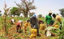 Kaolack : Formation SIG pour les agents de la Drdr en partenariat avec la Belgique Kaolack : Formation SIG pour les agents de la Drdr en partenariat avec la Belgique