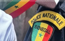 Casamance : Braquage de collecteurs de noix de cajou, 30 millions de francs CFA emportés
