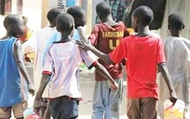 Thiénaba : l’affaire des talibés décédés après avoir consommé une plante avance Thiénaba : l’affaire des talibés décédés après avoir consommé une plante avance