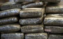 Guinaw Rails : un trafiquant de chanvre indien arrêté avec 28 kg près de l’arrêt TER de Dalifort