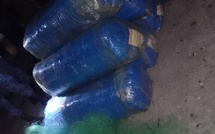 Hann : 206 kg de chanvre indien saisis en mer lors d’une opération nocturne
