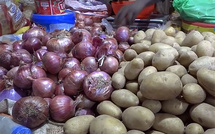 Sénégal :  L’Etat suspend temporaire des ventes d’oignons et de pommes de terre issues de l’agrobusiness