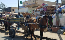 Linguère : une fillette de 5 ans meurt dans un accident de charrette à Boguel Linguère : une fillette de 5 ans meurt dans un accident de charrette à Boguel