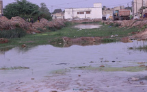 Thiès-Est : Les habitants de Nguinth dénoncent l’abandon du canal de drainage