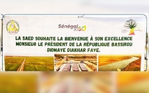 Bassirou Diomaye Faye lance la récolte de riz à Saré Walo Pendao
