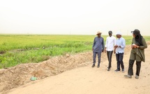 🌾 Souveraineté alimentaire : Le Président Diomaye Faye visite le Projet agricole de Savoigne, modèle de développement rural intégré