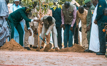 Journée nationale de l’arbre : le Sénégal alerte sur la perte annuelle de 11 536 hectares de forêts