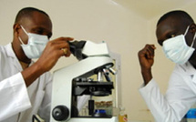 La FAO lance un programme pour moderniser neuf laboratoires de sécurité alimentaire en Afrique de l’Ouest La FAO lance un programme pour moderniser neuf laboratoires de sécurité alimentaire en Afrique de l’Ouest