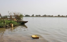 Fleuve Gambie : variations contrastées des niveaux d’eau le 20 août 2025