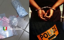 Mbour : démantèlement d’un réseau de drogue, 430 képas de Kush saisis