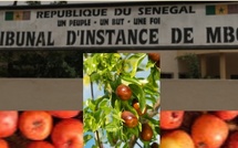Cueillir des jujubes… et récolter une condamnation