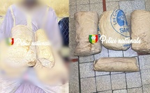 Kaolack : 3,6 kg de ch@nvre indien saisis dans la forêt de Thioyene Hamady Mala Kaolack : 3,6 kg de ch@nvre indien saisis dans la forêt de Thioyene Hamady Mala