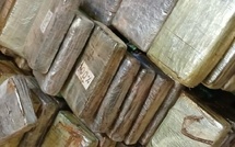 Kolda : saisie de 240 plaquettes de coc@ïne d’une valeur de 21,7 milliards FCFA