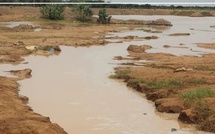 Crue du fleuve Sénégal : routes coupées et écoles menacées à Bakel