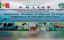 Sénégal : appel à une coopération avec la Guinée-Bissau pour lutter contre le vol de bétail Sénégal : appel à une coopération avec la Guinée-Bissau pour lutter contre le vol de bétail