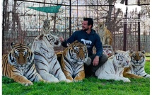 Etats-Unis : Un dresseur tué par son tigre en pleine représentation