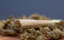 Trafic de drogue à Fatick