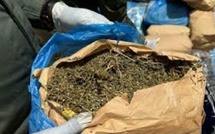 150 kg de chanvre saisis à Djinack Bara : une filature, un enfant convoyeur et une rébellion villageoise