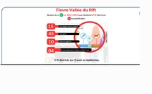 Saint-Louis : 10 décès enregistrés dans l’épidémie de fièvre de la vallée du Rift