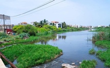 Banlieue de Dakar : mission conjointe des ministres de l’Environnement et de l’Hydraulique pour sauver les bassins naturels