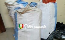 Thiès : La Brigade régionale des stupéfiants saisit 88 kg de ch@nvre indien à Mbour