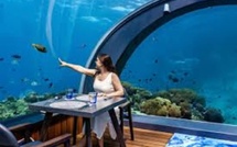 Hauts-de-Seine. Ce nouveau restaurant immersif envoie les clients dans les fonds marins
