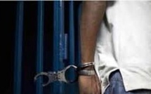 Pikine : Deux ans de prison pour coups et blessures sur sa mère