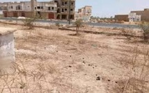 Thiès : Les souscripteurs de la SN-HLM crient leur ras-le-bol après 30 ans d’attente