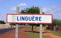 Linguère : lancement des opérations de désencombrement public dès vendredi