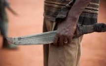 Podor : un jeune berger décapite son meilleur ami après une dispute Podor : un jeune berger décapite son meilleur ami après une dispute