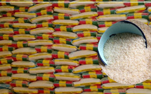 Mévente de 350 000 tonnes de riz dans le nord du Sénégal : les producteurs alertent sur une situation critique Mévente de 350 000 tonnes de riz dans le nord du Sénégal : les producteurs alertent sur une situation critique