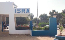 Le Sénégal dispose de 6,5 millions d’hectares de terres agricoles inexploitées, selon l’ISRA.