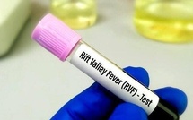 Fièvre de la Vallée du Rift : 12 nouveaux cas enregistrés au Sénégal, aucun décès supplémentaire Fièvre de la Vallée du Rift : 12 nouveaux cas enregistrés au Sénégal, aucun décès supplémentaire
