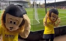 Ivre, la mascotte d’un club amateur de football se fait expulser avant le début du match