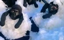 Tentative insolite : des migrants arrêtés déguisés en moutons