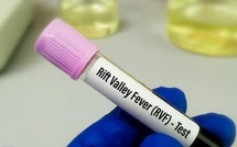 Fièvre de la Vallée du Rift à Fatick : 11 patients guéris sur 18 cas enregistrés