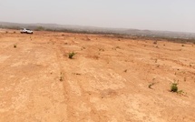 Diass : la mairie distribue symboliquement les premiers titres fonciers du projet PROCASEF