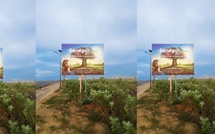 Sénégal : adoption du projet de loi sur le nouveau Code de la Publicité