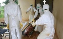 Épidémie : L’Ethiopie confirme l’apparition d’une épidémie du virus de Marburg