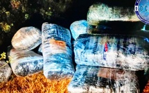 Fatick : saisie de plus de 500 kg de substances interdites à Pethie Makha